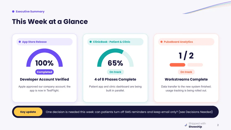 Executive summary slide with three project cards showing 100%, 65% and 1 of 2 progress, and a key update strip below.